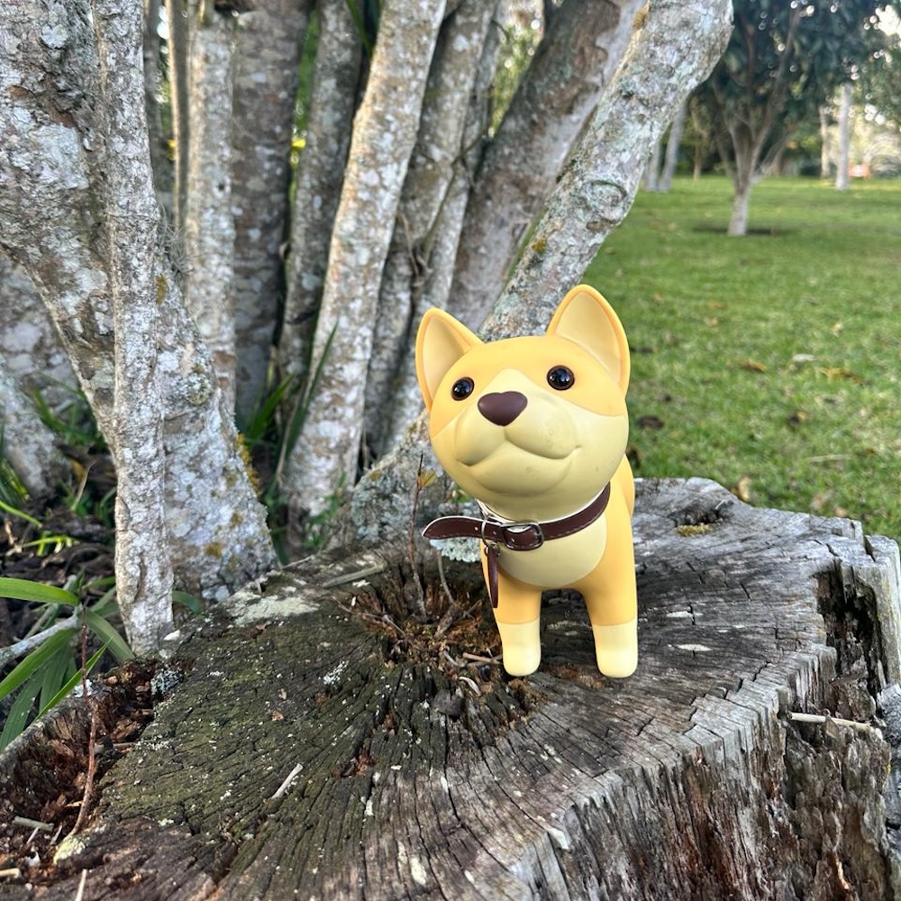 Perro en el tronco 1 1000x1000